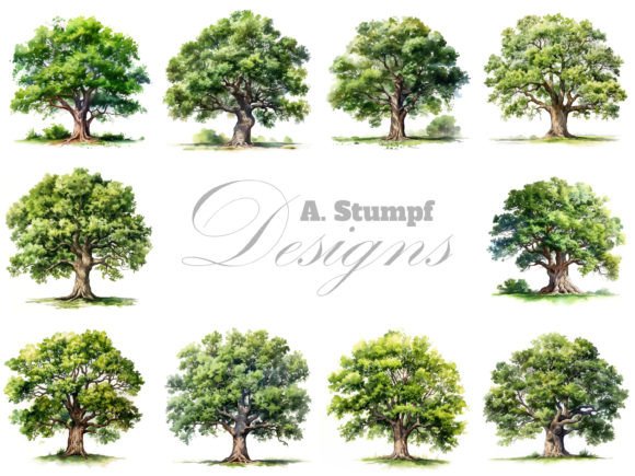 Download Oak Tree Watercolor Clipart Set - Tree Collection