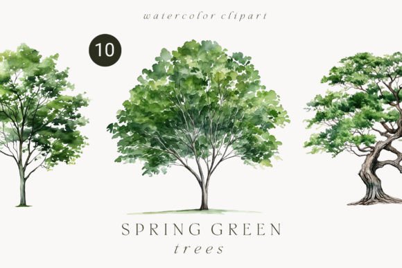Download Watercolor Green Tree Forest Clipart - Tree Collection